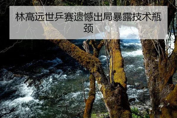 林高远世乒赛遗憾出局暴露技术瓶颈